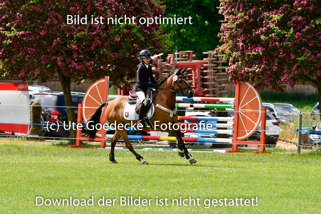 Goldene Schärpe Ponys in Hohen Luckow 1-4.6.23 | Aline Schröder - Louis_07 