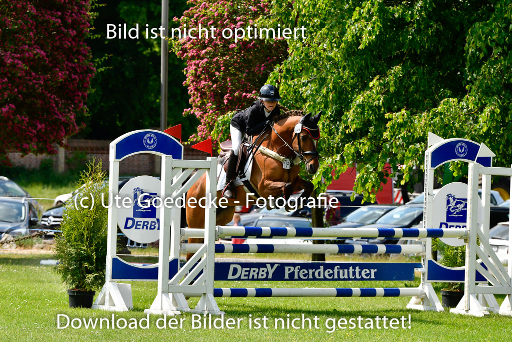 Goldene Schärpe Ponys in Hohen Luckow 1-4.6.23 | Aline Schröder - Louis_08 