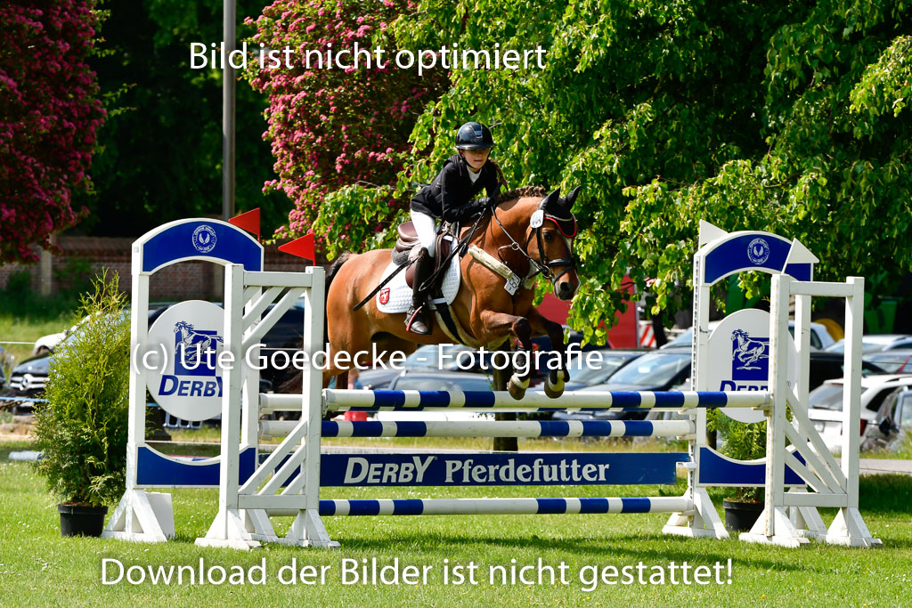 Goldene Schärpe Ponys in Hohen Luckow 1-4.6.23 | Aline Schröder - Louis_09 