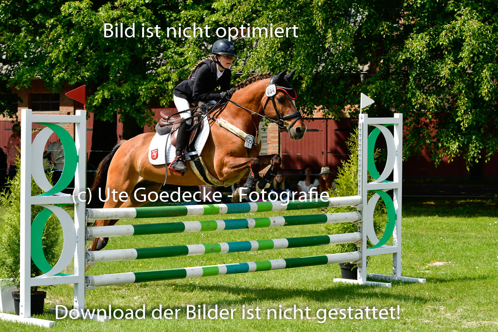 Goldene Schärpe Ponys in Hohen Luckow 1-4.6.23 | Aline Schröder - Louis_10 