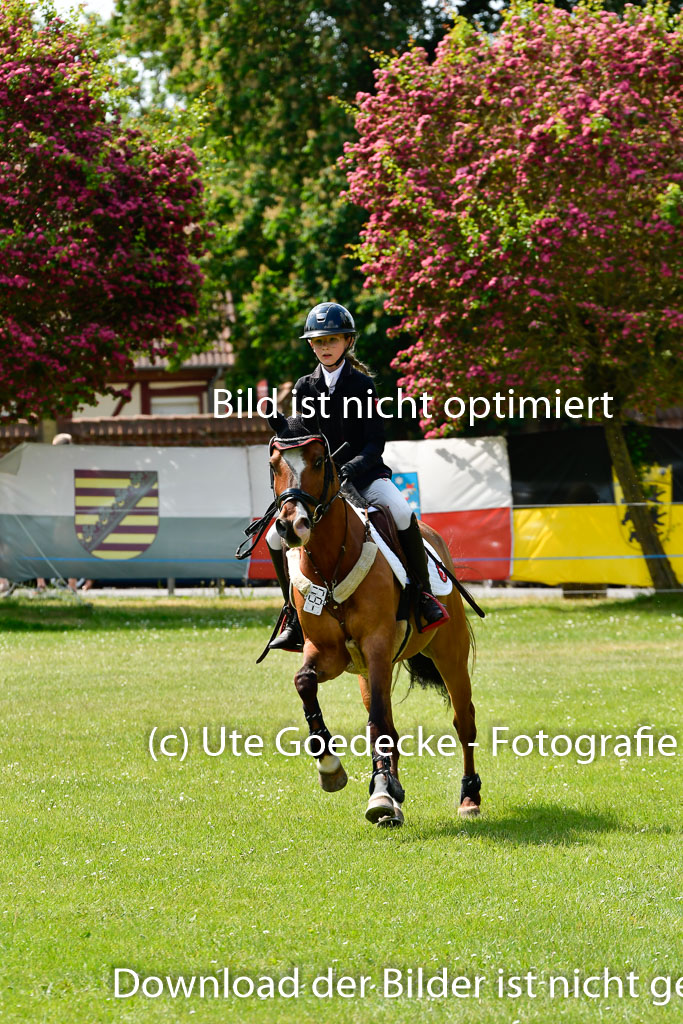 Goldene Schärpe Ponys in Hohen Luckow 1-4.6.23 | Aline Schröder - Louis_14 