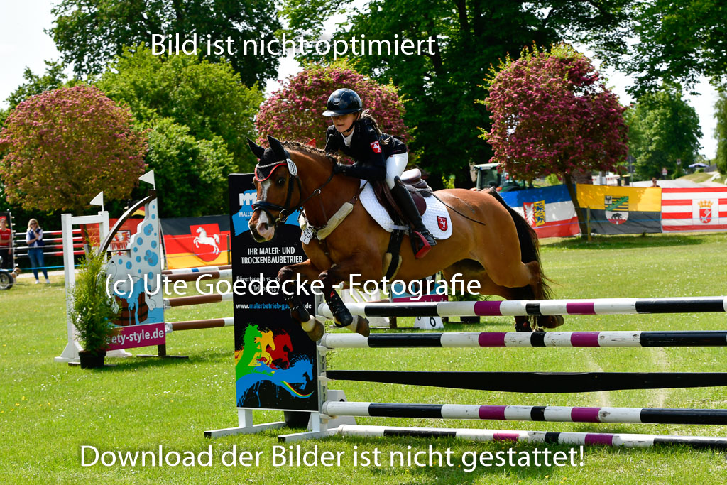 Goldene Schärpe Ponys in Hohen Luckow 1-4.6.23 | Aline Schröder - Louis_15 