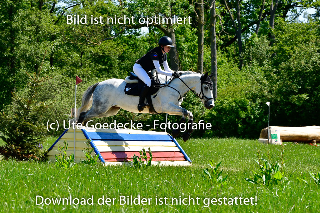 Goldene Schärpe Ponys in Hohen Luckow 1-4.6.23 | Anna T Börke - Never walk alone_05