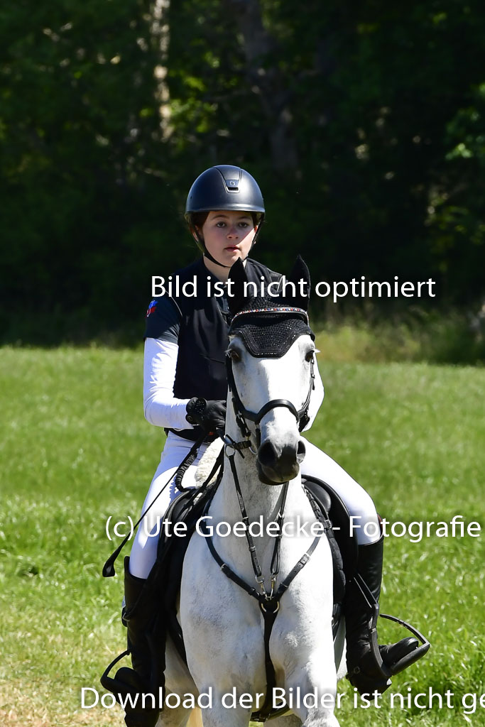 Goldene Schärpe Ponys in Hohen Luckow 1-4.6.23 | Anna T Börke - Never walk alone_1