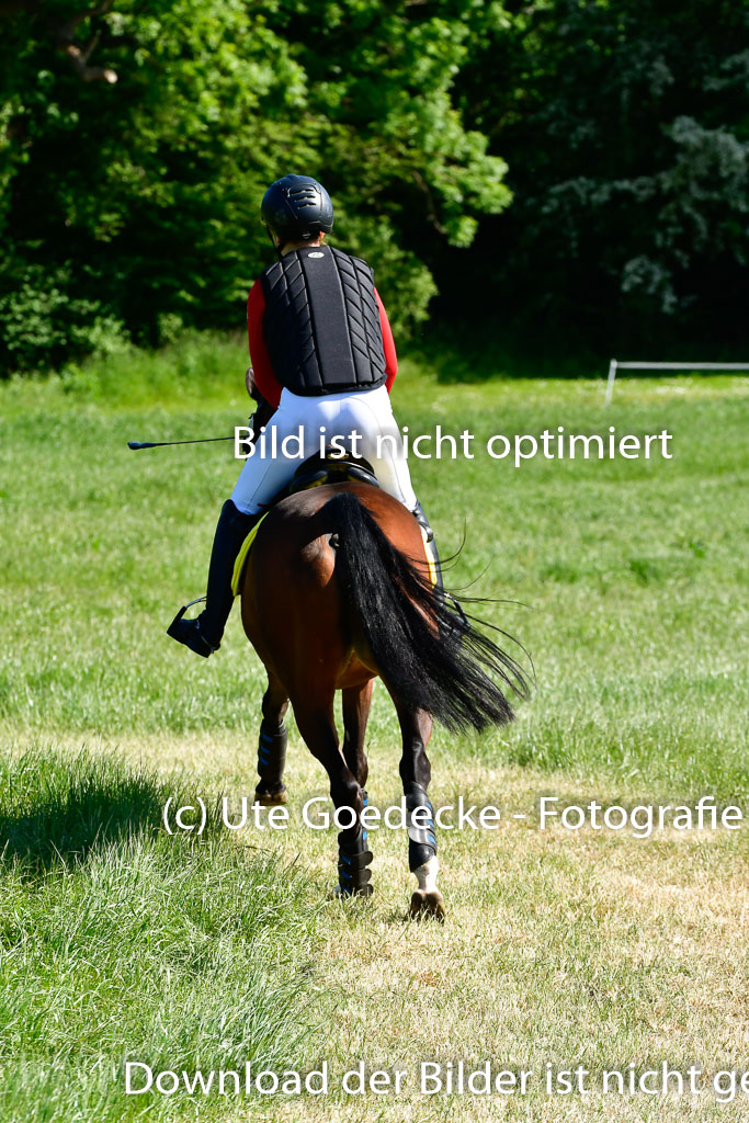 Goldene Schärpe Ponys in Hohen Luckow 1-4.6.23 | Clara Wrehde - Copa Cabano_02 