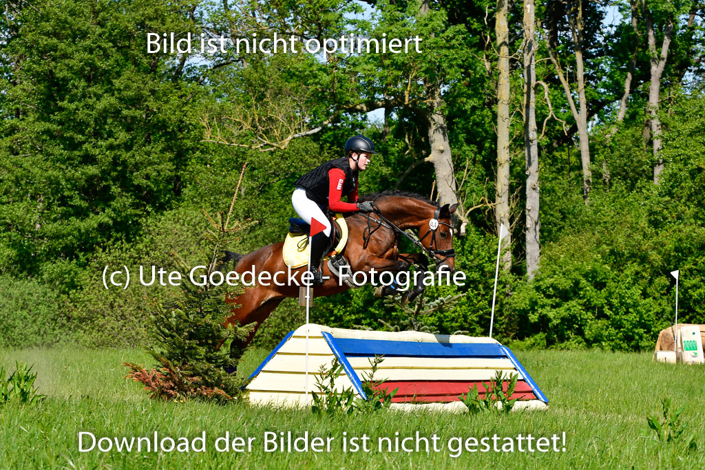 Goldene Schärpe Ponys in Hohen Luckow 1-4.6.23 | Clara Wrehde - Copa Cabano_05 