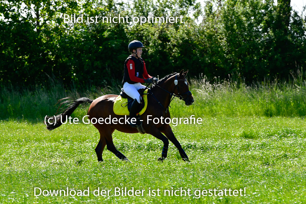 Goldene Schärpe Ponys in Hohen Luckow 1-4.6.23 | Clara Wrehde - Copa Cabano_07