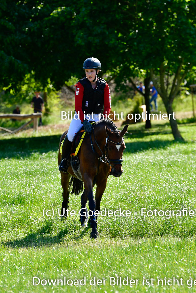 Goldene Schärpe Ponys in Hohen Luckow 1-4.6.23 | Clara Wrehde - Copa Cabano_10 