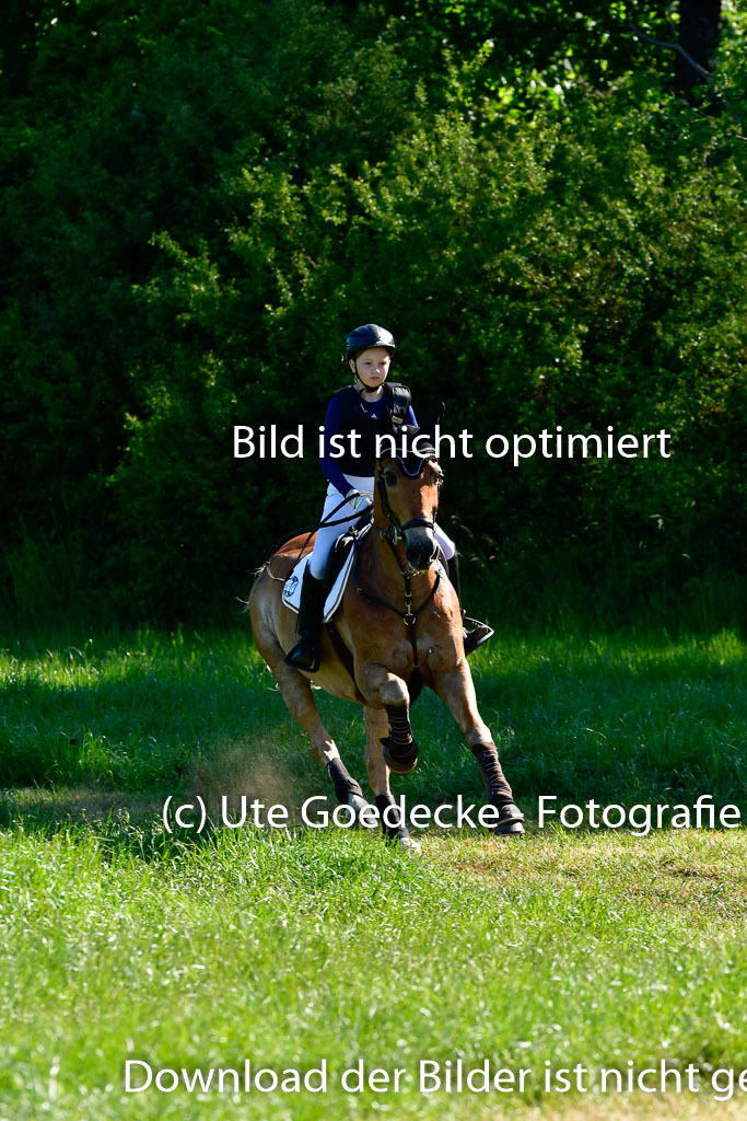 Goldene Schärpe Ponys in Hohen Luckow 1-4.6.23 | Hanna Balcarek - Gordi