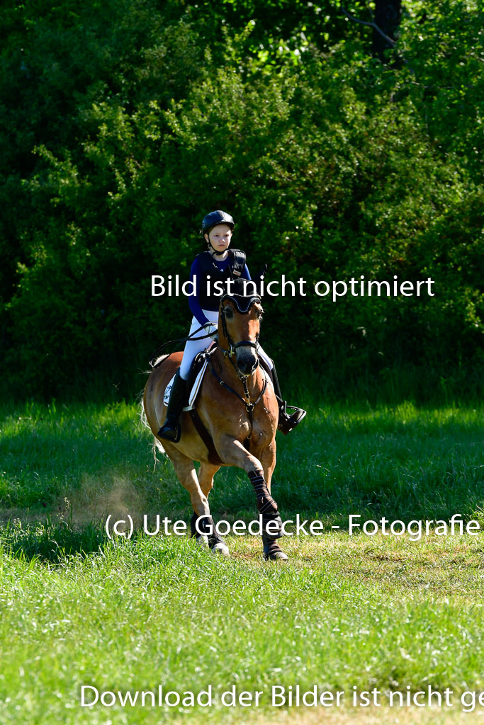 Goldene Schärpe Ponys in Hohen Luckow 1-4.6.23 | Hanna Balcarek - Gordi_01 