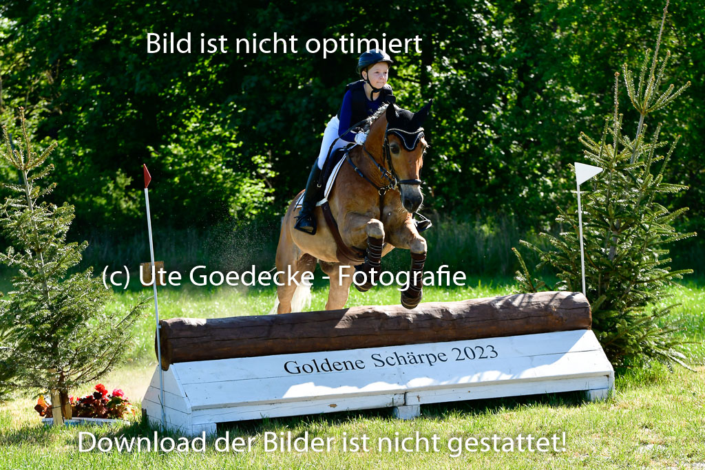 Goldene Schärpe Ponys in Hohen Luckow 1-4.6.23 | Hanna Balcarek - Gordi_02 