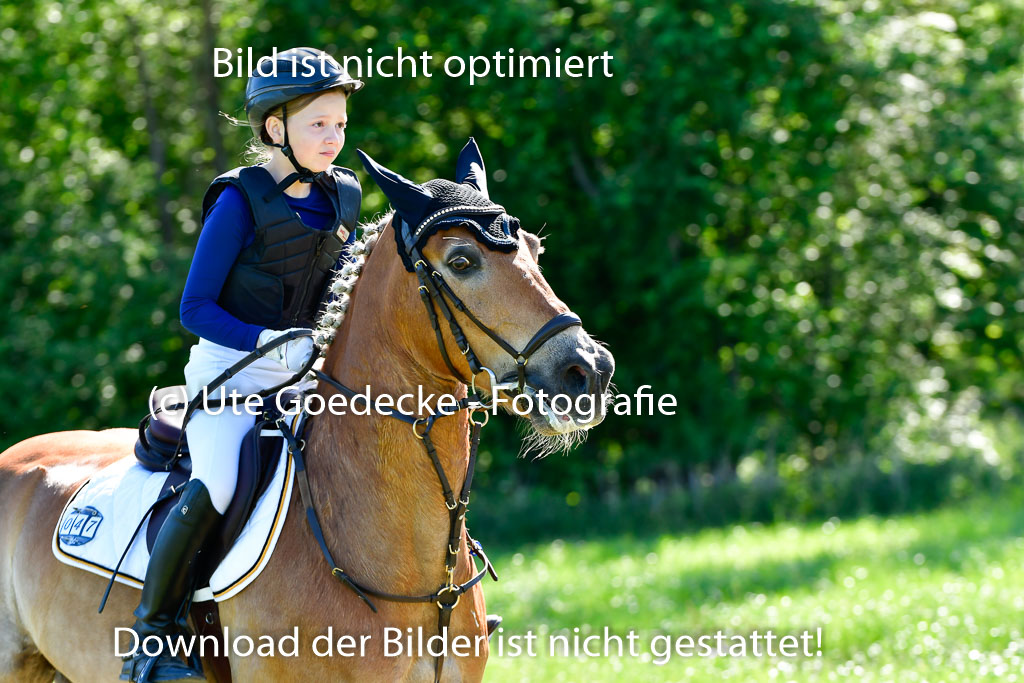 Goldene Schärpe Ponys in Hohen Luckow 1-4.6.23 | Hanna Balcarek - Gordi_04 