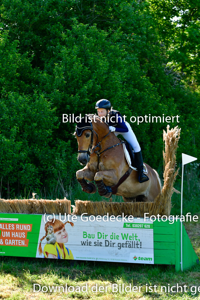 Goldene Schärpe Ponys in Hohen Luckow 1-4.6.23 | Hanna Balcarek - Gordi_05 