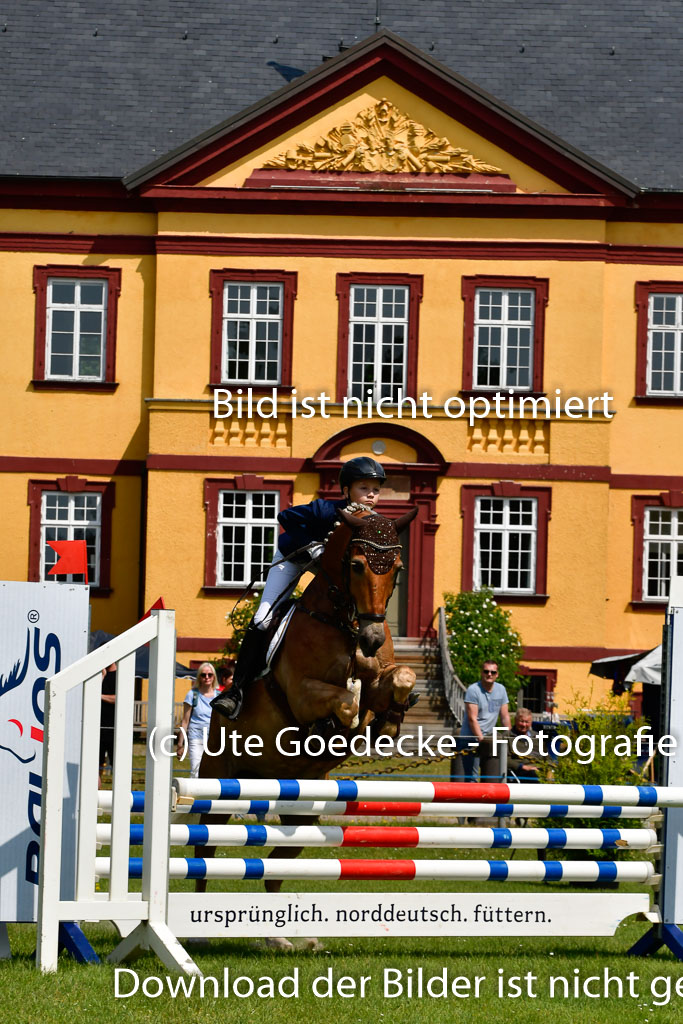 Goldene Schärpe Ponys in Hohen Luckow 1-4.6.23 | Hanna Balcarek - Gordi_16 