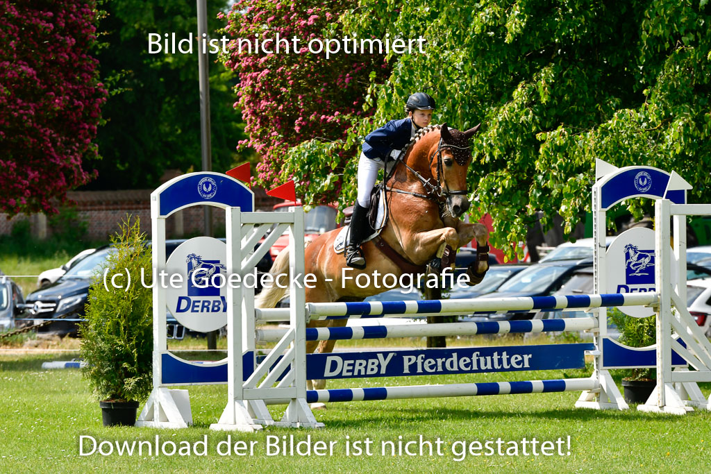 Goldene Schärpe Ponys in Hohen Luckow 1-4.6.23 | Hanna Balcarek - Gordi_21 