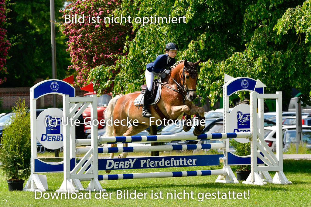 Goldene Schärpe Ponys in Hohen Luckow 1-4.6.23 | Hanna Balcarek - Gordi_22 