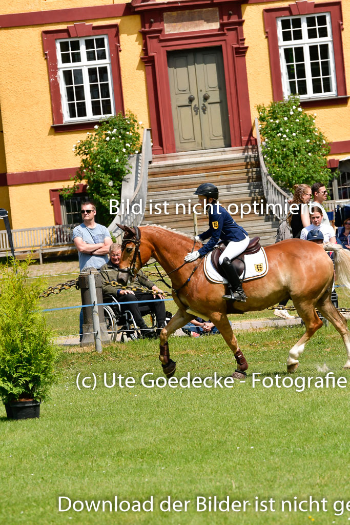 Goldene Schärpe Ponys in Hohen Luckow 1-4.6.23 | Hanna Balcarek - Gordi_29 