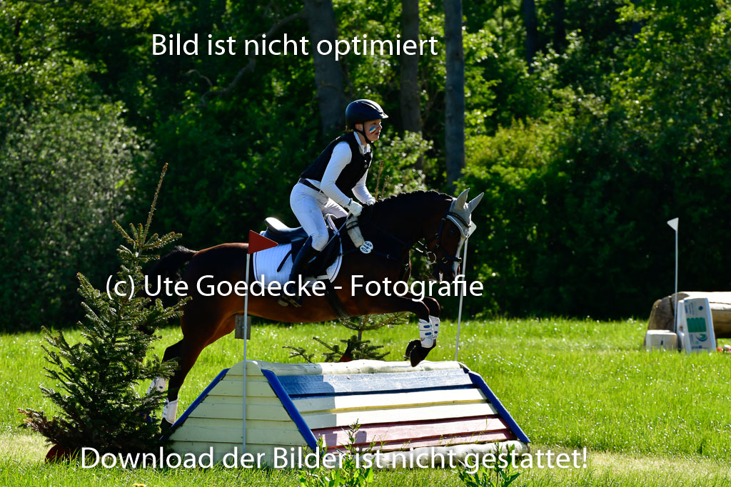 Goldene Schärpe Ponys in Hohen Luckow 1-4.6.23 | Johanna Waydelin - Goldfee_06 