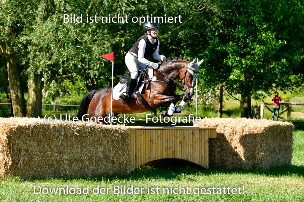 Goldene Schärpe Ponys in Hohen Luckow 1-4.6.23 | Johanna Waydelin - Goldfee_09 