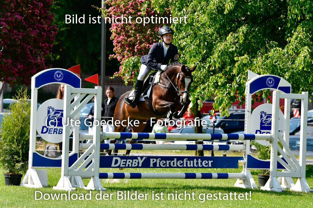 Goldene Schärpe Ponys in Hohen Luckow 1-4.6.23 | Johanna Waydelin - Goldfee_13 