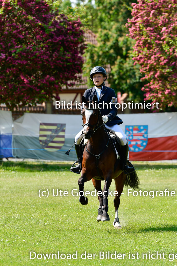 Goldene Schärpe Ponys in Hohen Luckow 1-4.6.23 | Johanna Waydelin - Goldfee_16