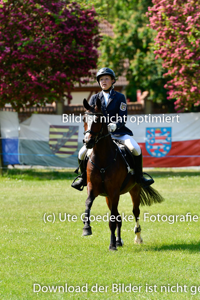 Goldene Schärpe Ponys in Hohen Luckow 1-4.6.23 | Johanna Waydelin - Goldfee_17 