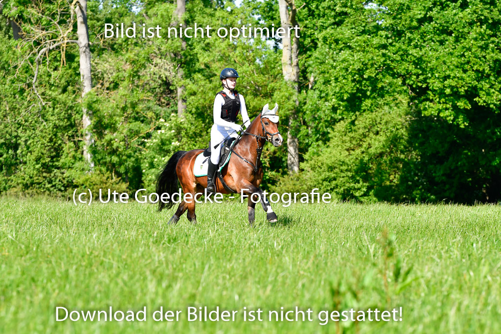 Goldene Schärpe Ponys in Hohen Luckow 1-4.6.23 | Jolina Gladigau - Desperado_12 