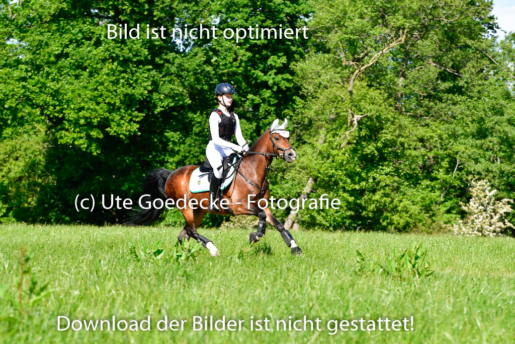 Goldene Schärpe Ponys in Hohen Luckow 1-4.6.23 | Jolina Gladigau - Desperado_14 