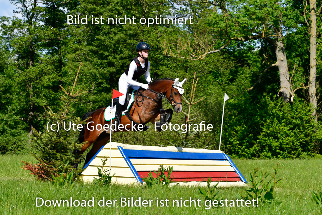 Goldene Schärpe Ponys in Hohen Luckow 1-4.6.23 | Jolina Gladigau - Desperado_15 