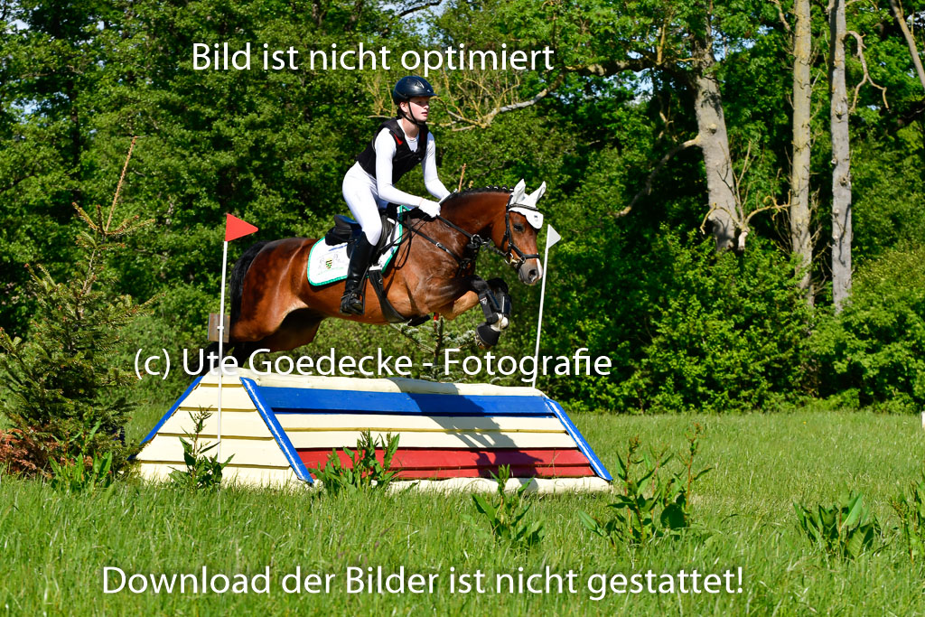 Goldene Schärpe Ponys in Hohen Luckow 1-4.6.23 | Jolina Gladigau - Desperado_16 