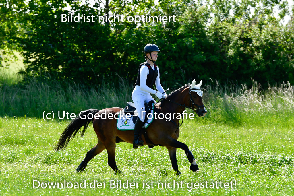 Goldene Schärpe Ponys in Hohen Luckow 1-4.6.23 | Jolina Gladigau - Desperado_17 