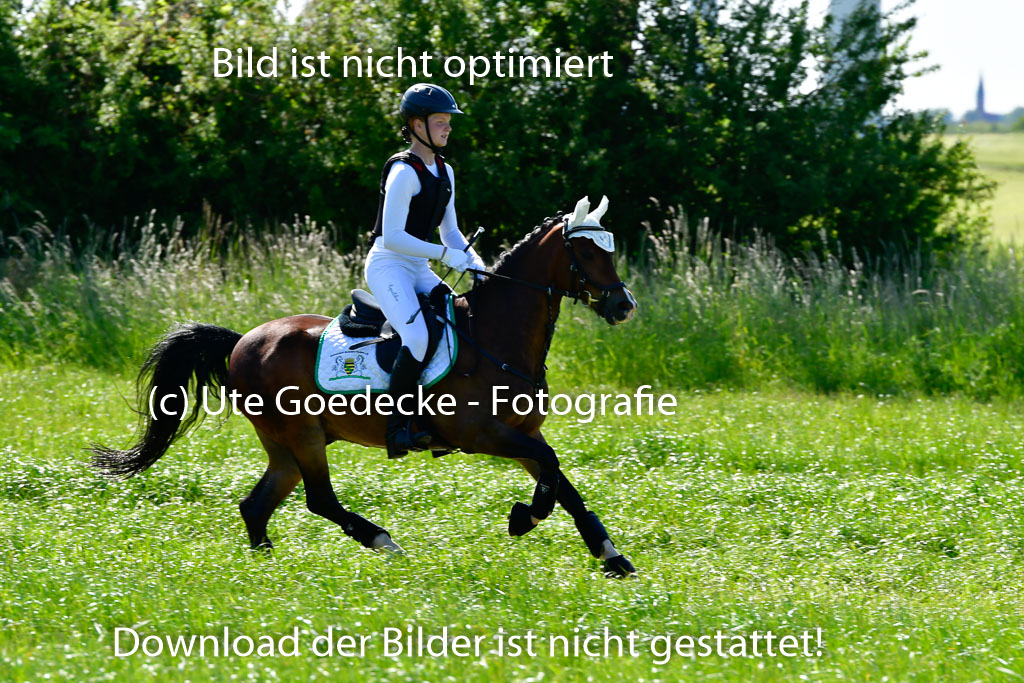 Goldene Schärpe Ponys in Hohen Luckow 1-4.6.23 | Jolina Gladigau - Desperado_18 