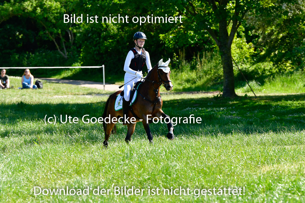 Goldene Schärpe Ponys in Hohen Luckow 1-4.6.23 | Jolina Gladigau - Desperado_22 