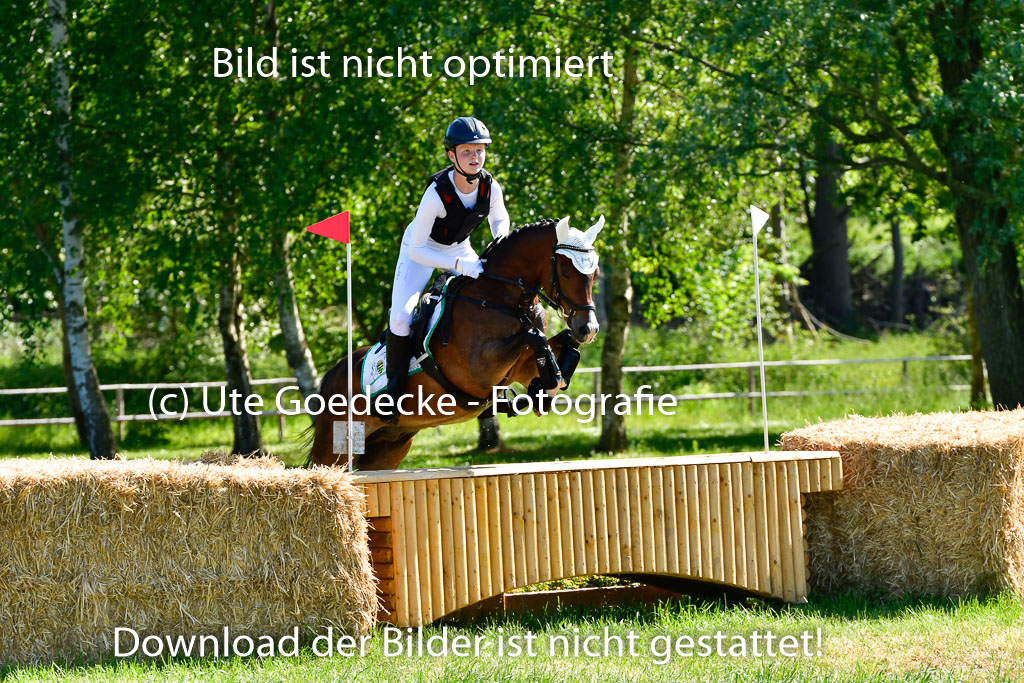 Goldene Schärpe Ponys in Hohen Luckow 1-4.6.23 | Jolina Gladigau - Desperado_24