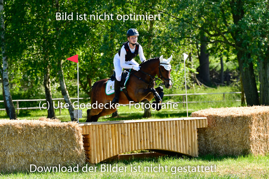 Goldene Schärpe Ponys in Hohen Luckow 1-4.6.23 | Jolina Gladigau - Desperado_25
