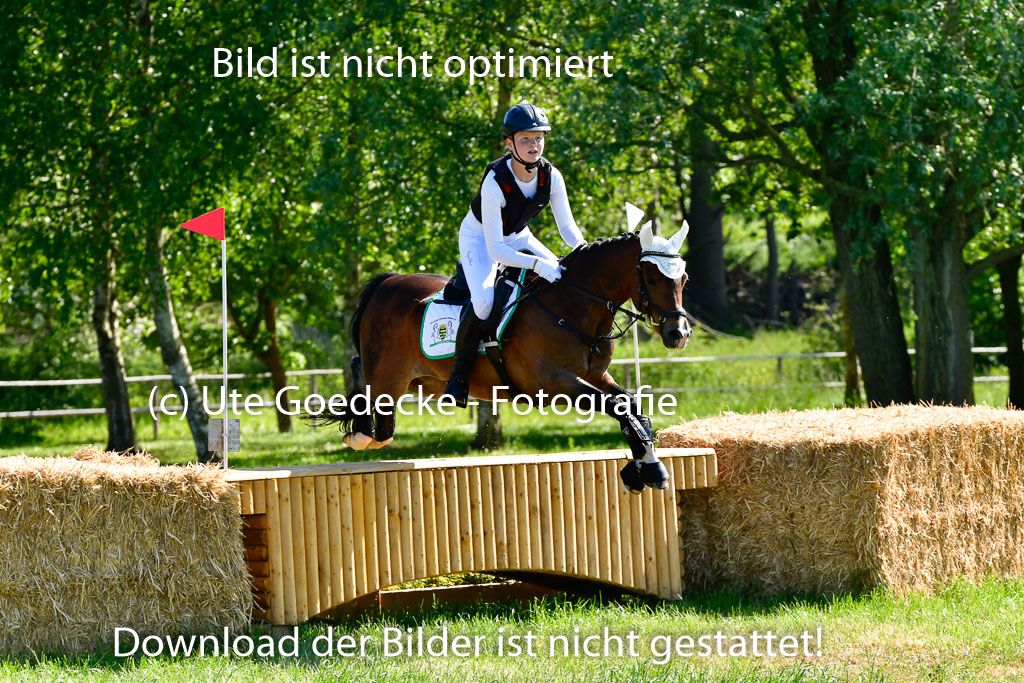 Goldene Schärpe Ponys in Hohen Luckow 1-4.6.23 | Jolina Gladigau - Desperado_26 