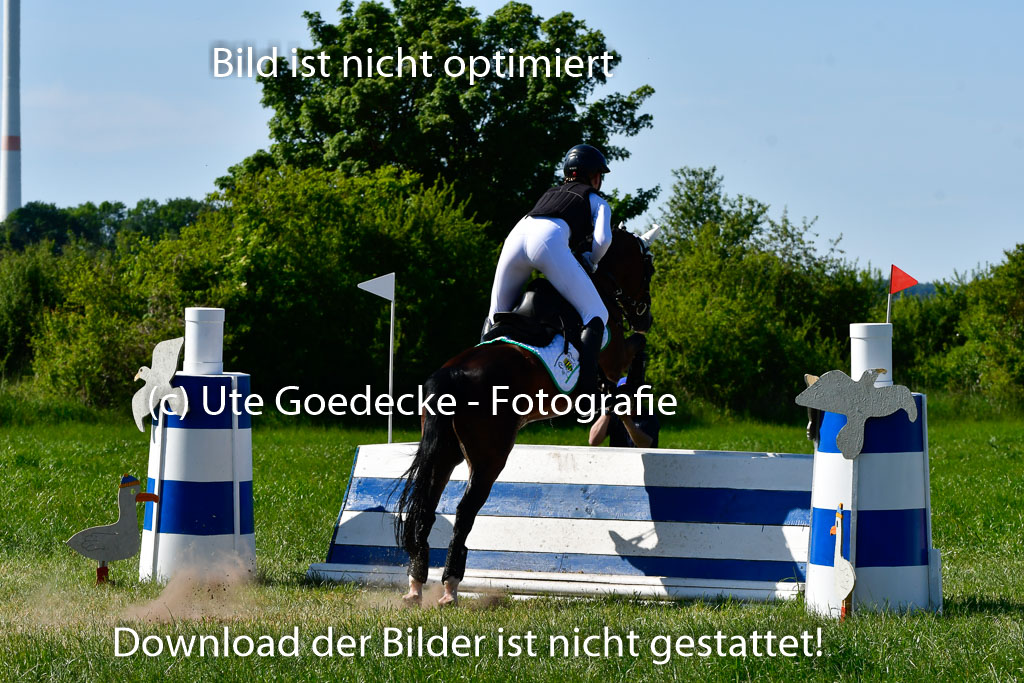 Goldene Schärpe Ponys in Hohen Luckow 1-4.6.23 | Jolina Gladigau - Desperado_29