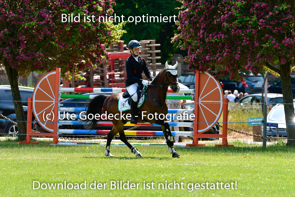 Goldene Schärpe Ponys in Hohen Luckow 1-4.6.23 | Jolina Gladigau - Desperado_35 