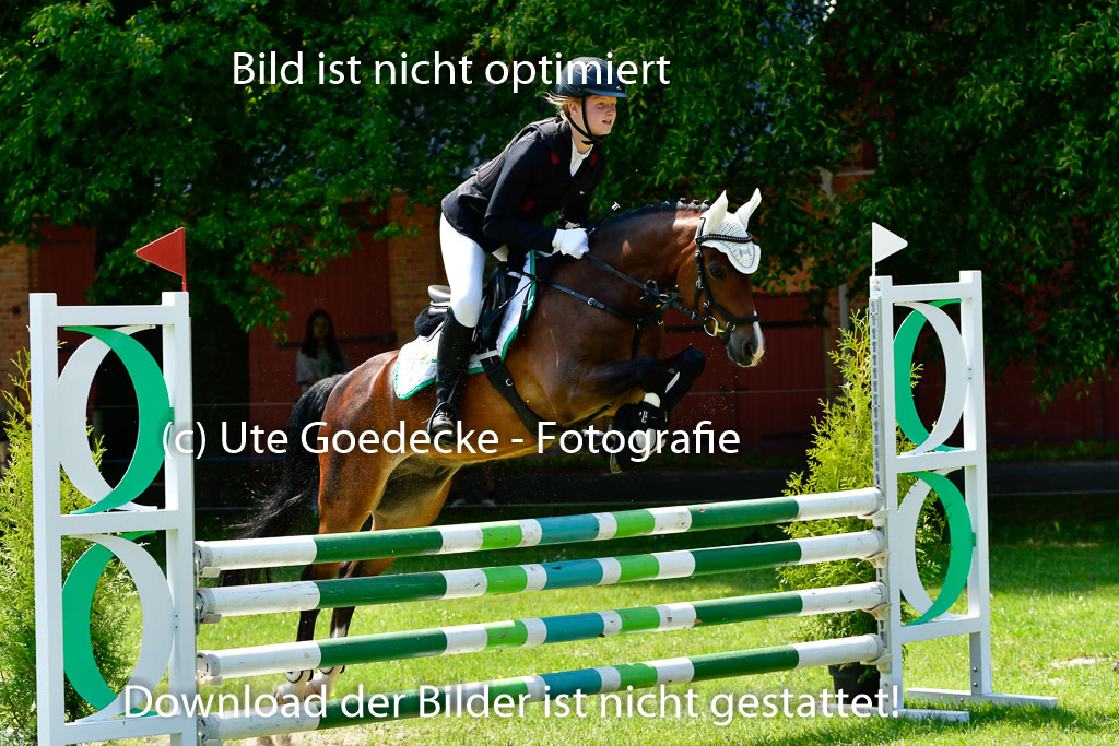 Goldene Schärpe Ponys in Hohen Luckow 1-4.6.23 | Jolina Gladigau - Desperado_38 