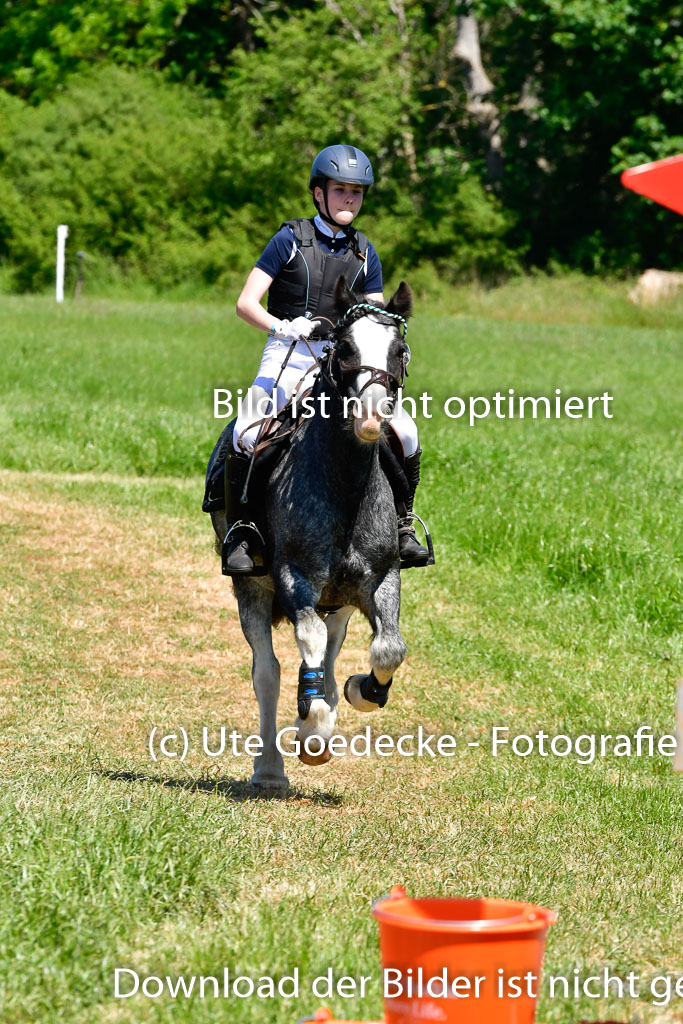 Goldene Schärpe Ponys in Hohen Luckow 1-4.6.23 | Lena Schlüter - Luna_01 