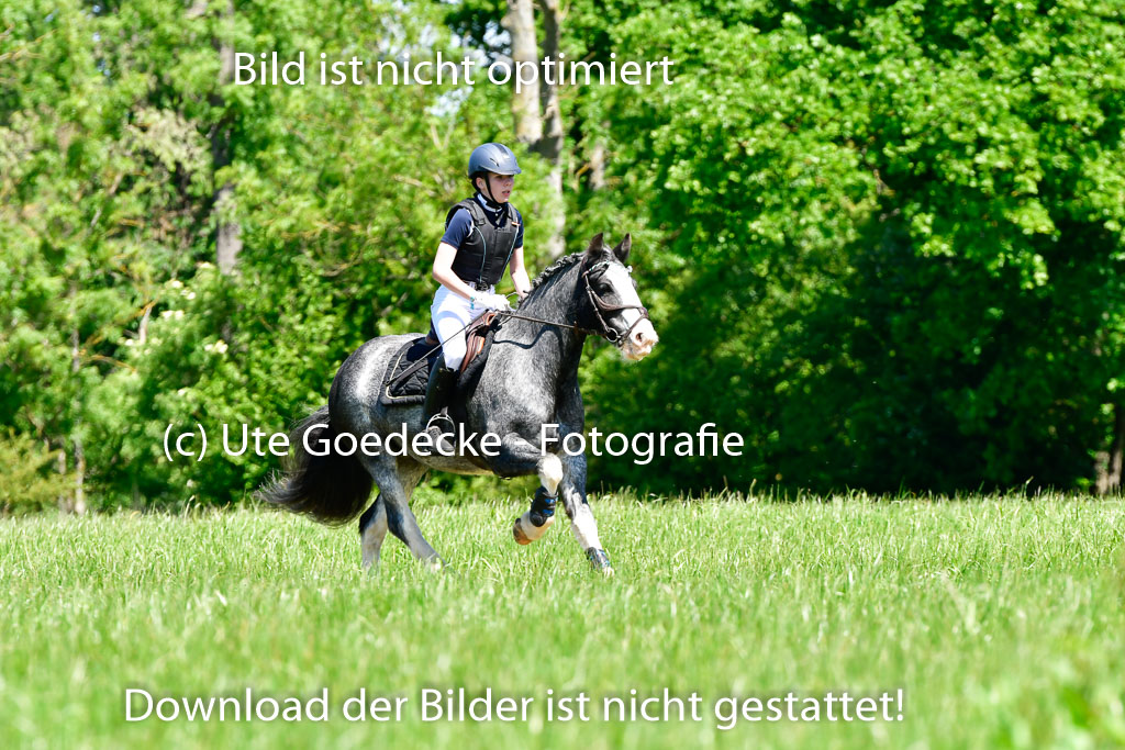 Goldene Schärpe Ponys in Hohen Luckow 1-4.6.23 | Lena Schlüter - Luna_06