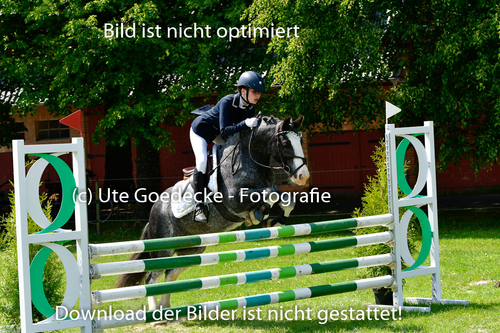 Goldene Schärpe Ponys in Hohen Luckow 1-4.6.23 | Lena Schlüter - Luna_20 