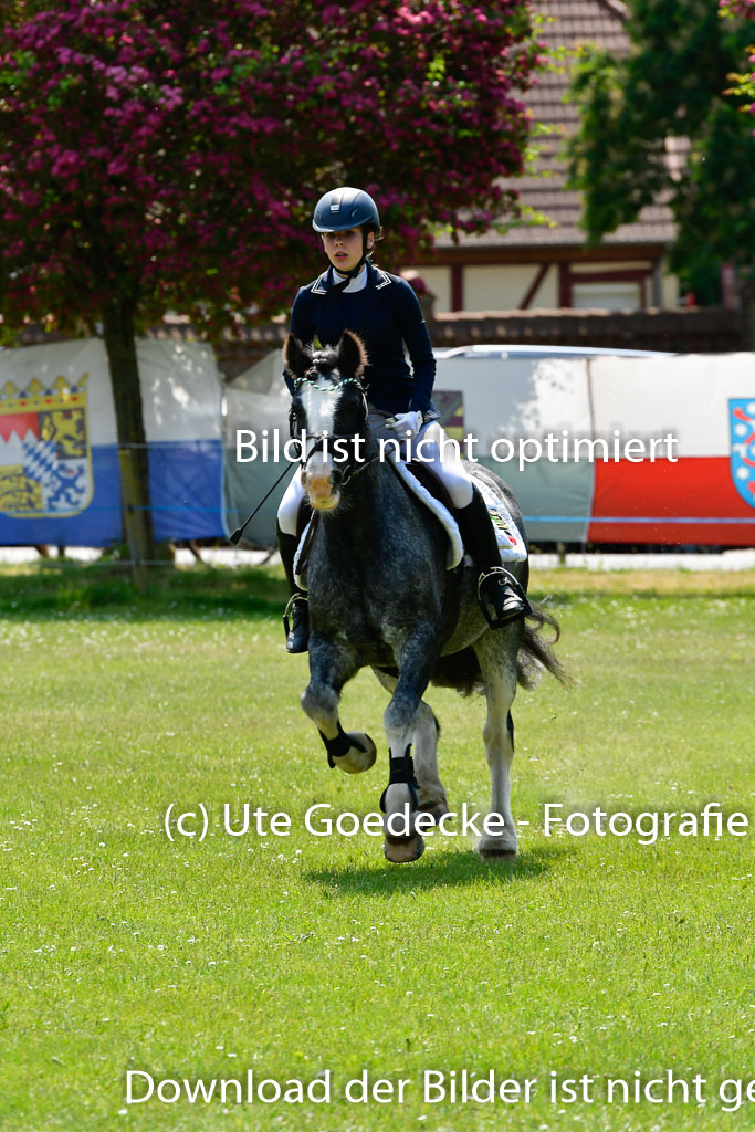 Goldene Schärpe Ponys in Hohen Luckow 1-4.6.23 | Lena Schlüter - Luna_23 