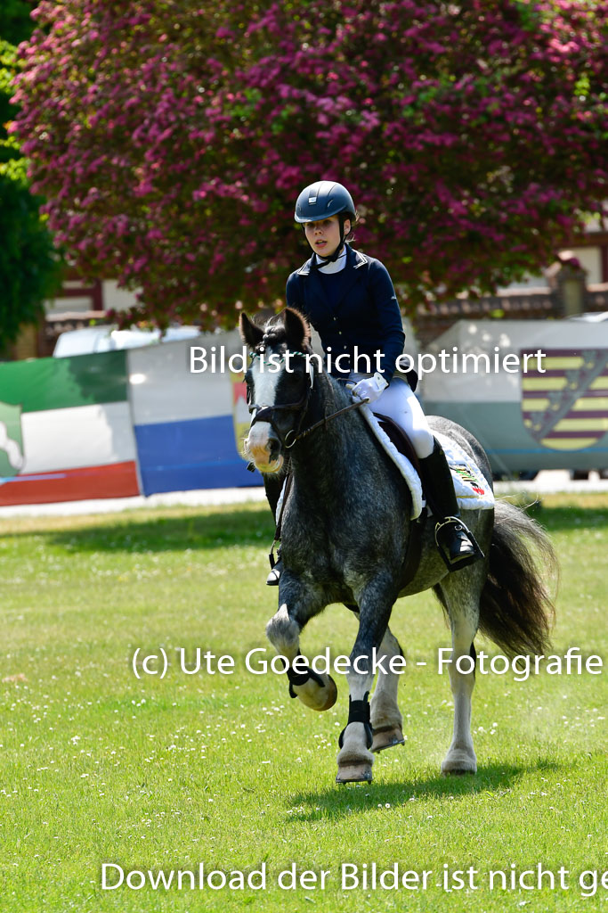 Goldene Schärpe Ponys in Hohen Luckow 1-4.6.23 | Lena Schlüter - Luna_24 