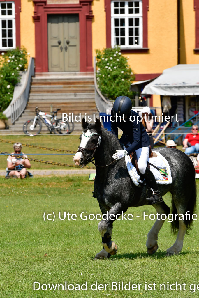 Goldene Schärpe Ponys in Hohen Luckow 1-4.6.23 | Lena Schlüter - Luna_27 