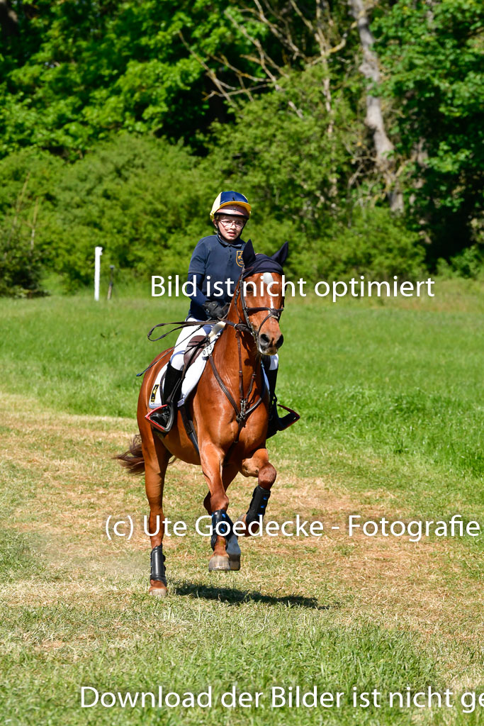 Goldene Schärpe Ponys in Hohen Luckow 1-4.6.23 | Lina marie Quast - Mr Berny 