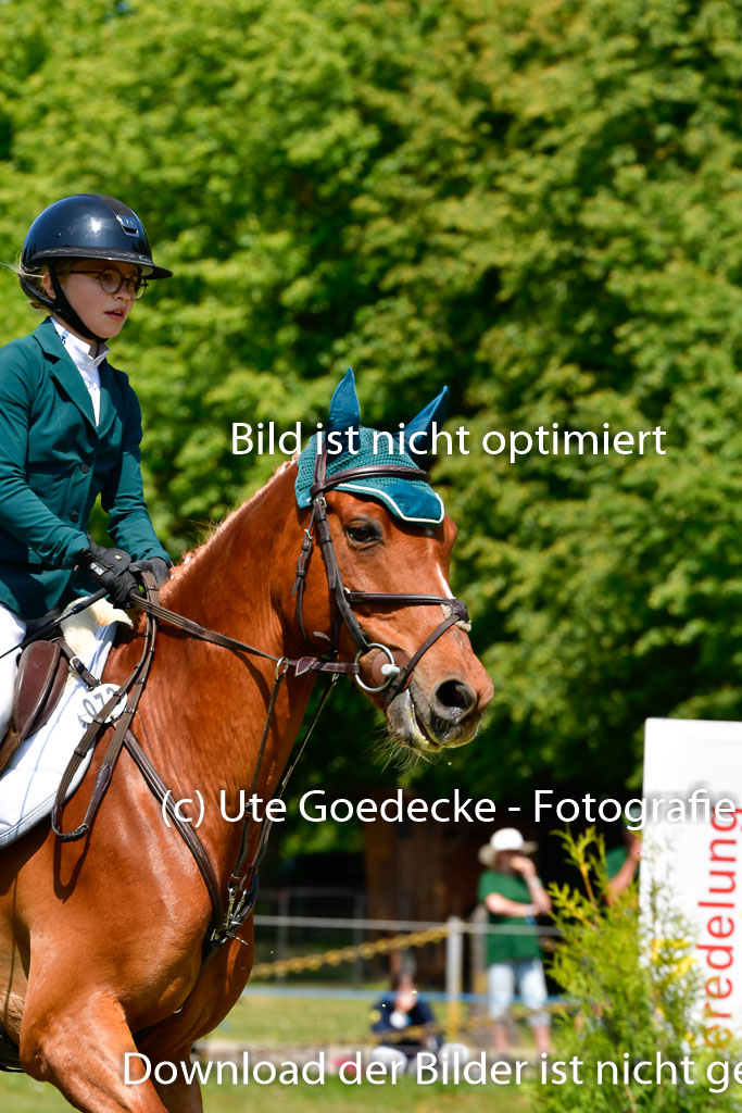 Goldene Schärpe Ponys in Hohen Luckow 1-4.6.23 | Lina marie Quast - Mr Berny_06 