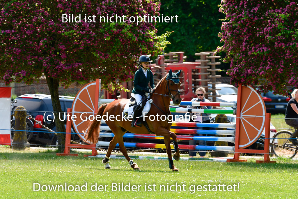 Goldene Schärpe Ponys in Hohen Luckow 1-4.6.23 | Lina marie Quast - Mr Berny_07 