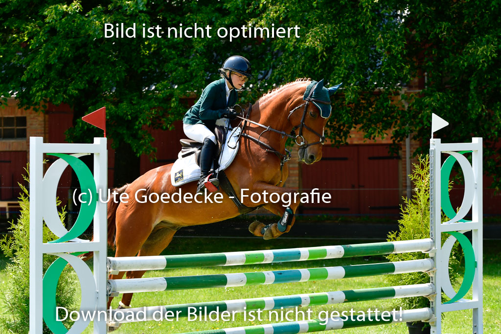 Goldene Schärpe Ponys in Hohen Luckow 1-4.6.23 | Lina marie Quast - Mr Berny_09 