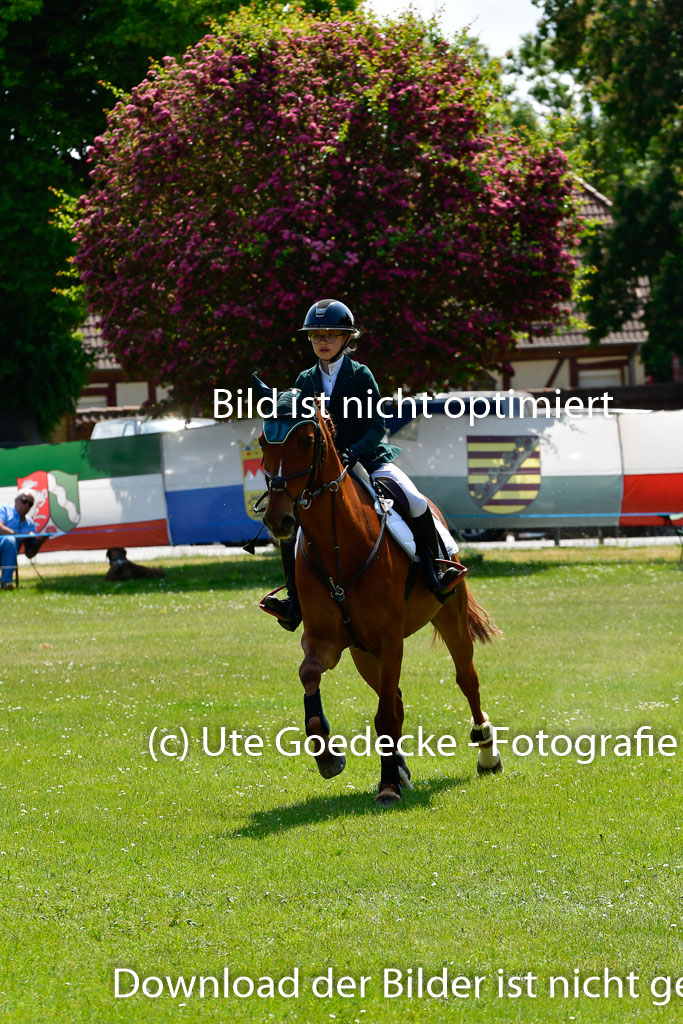 Goldene Schärpe Ponys in Hohen Luckow 1-4.6.23 | Lina marie Quast - Mr Berny_12 